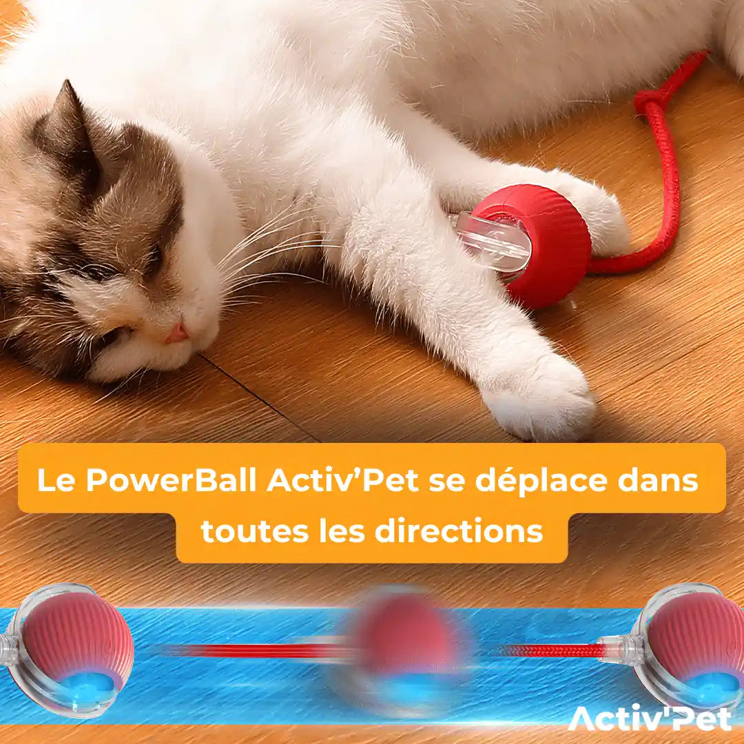 PowerBall Activ’Pet
