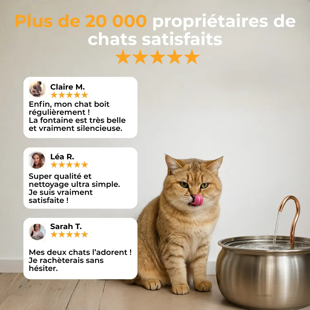 Fontaine à Chat Activ'Pet