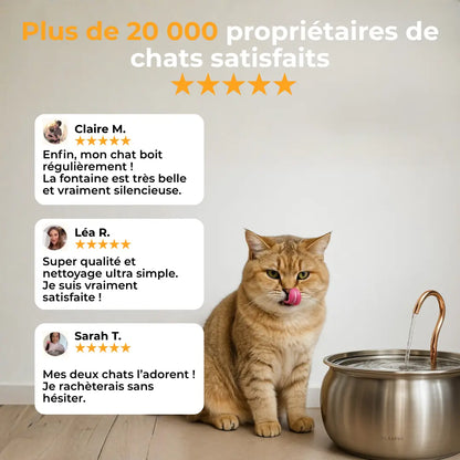 Fontaine à Chat Activ'Pet