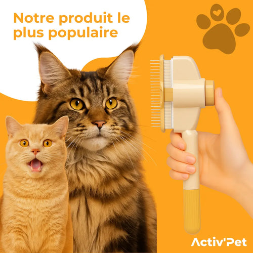 Brosse Attrape’Poils – Notre Bestseller