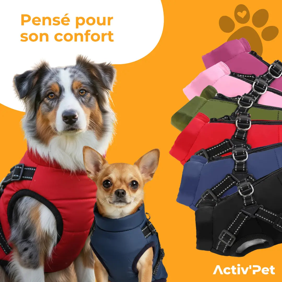 Manteau d’hiver 3 en 1 Activ’Pet
