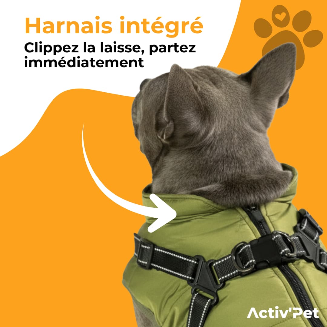 Manteau d’hiver 3 en 1 Activ’Pet