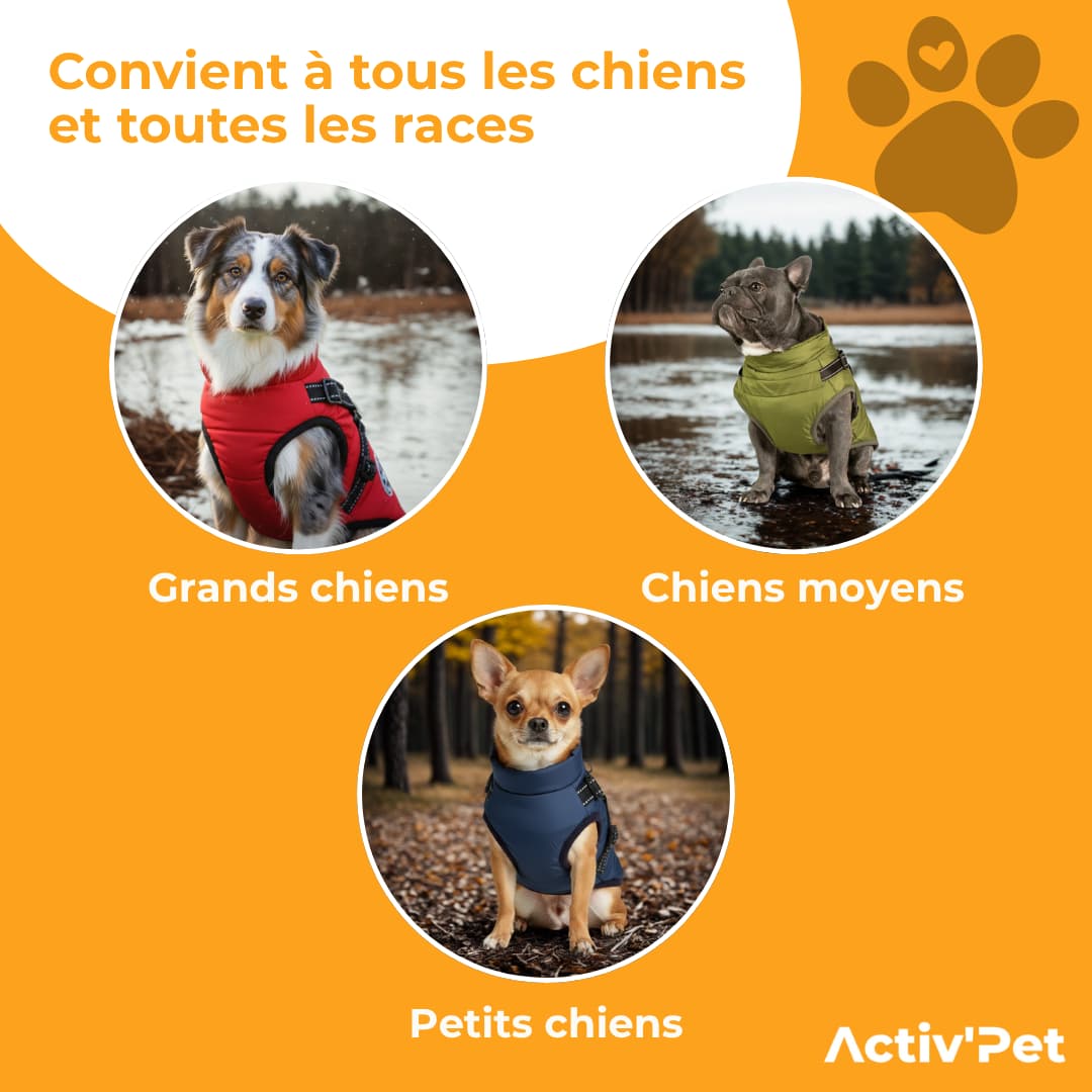Manteau d’hiver 3 en 1 Activ’Pet