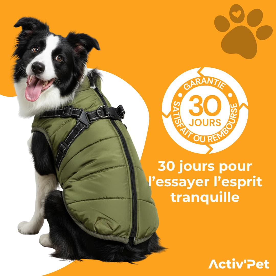 Manteau d’hiver 3 en 1 Activ’Pet