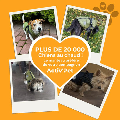 Manteau d’hiver 3 en 1 Activ’Pet