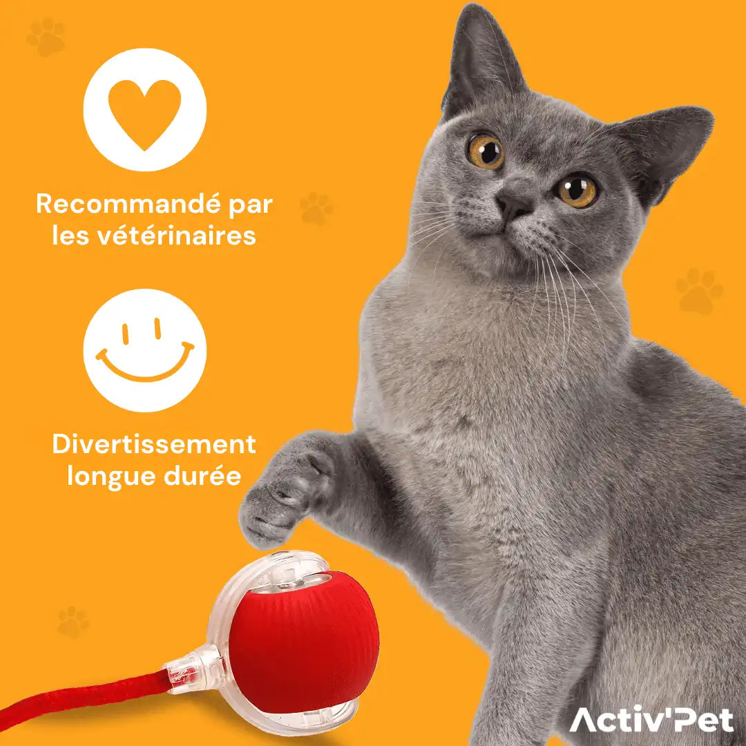 PowerBall Activ’Pet