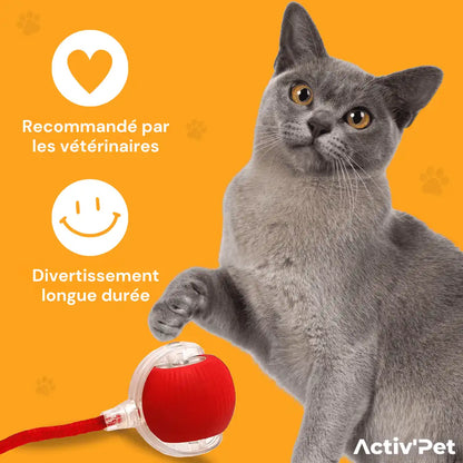 PowerBall Activ’Pet