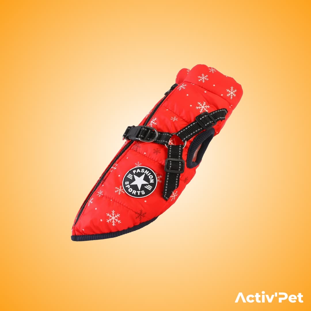 Manteau d’hiver 3 en 1 Activ’Pet