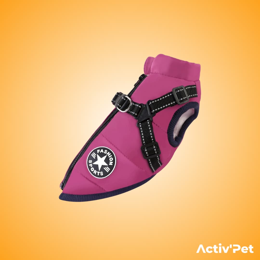 Manteau d’hiver 3 en 1 Activ’Pet