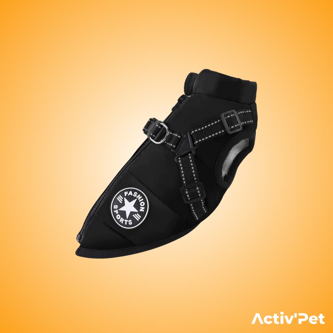 Manteau d’hiver 3 en 1 Activ’Pet