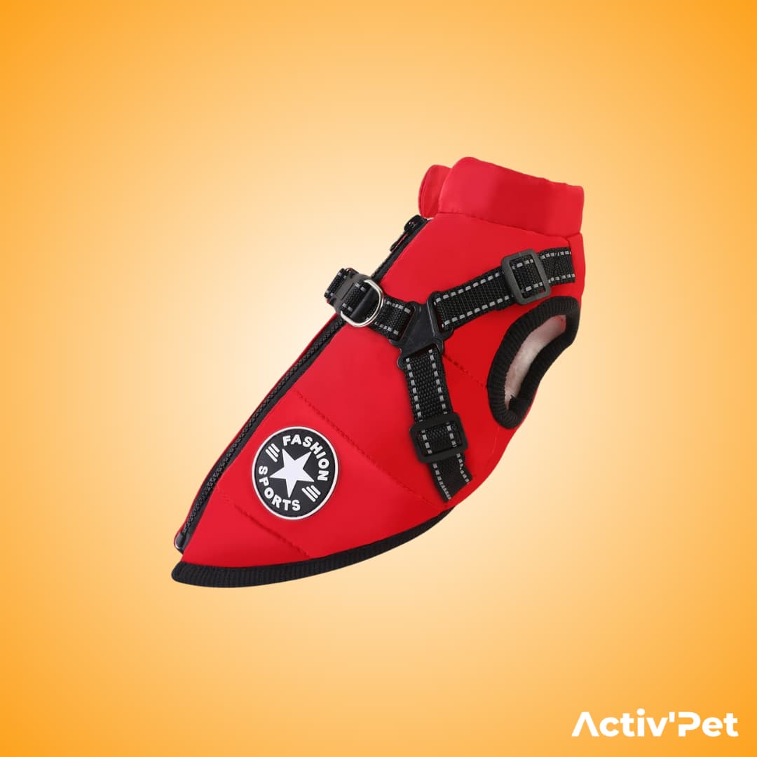 Manteau d’hiver 3 en 1 Activ’Pet