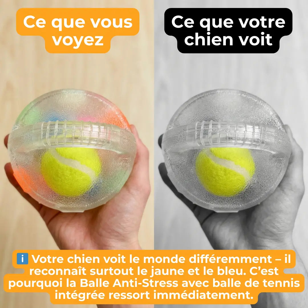 Stress Ball