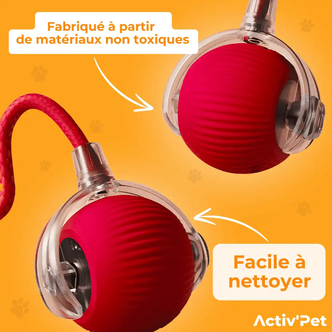 PowerBall Activ'Pet