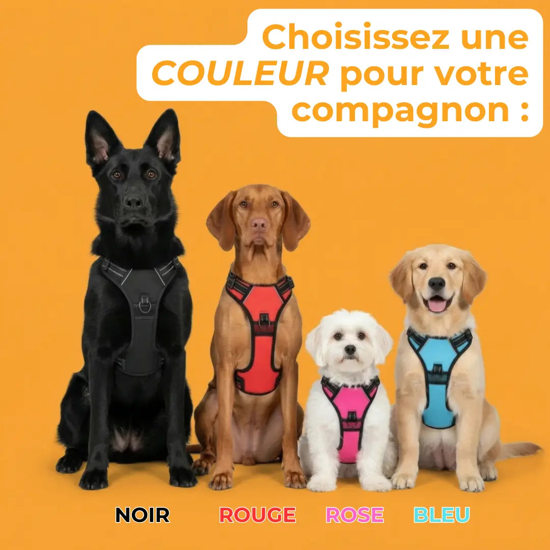 Harnais Anti-Traction MouVéo — couleurs disponibles Noir Rouge Rose Bleu