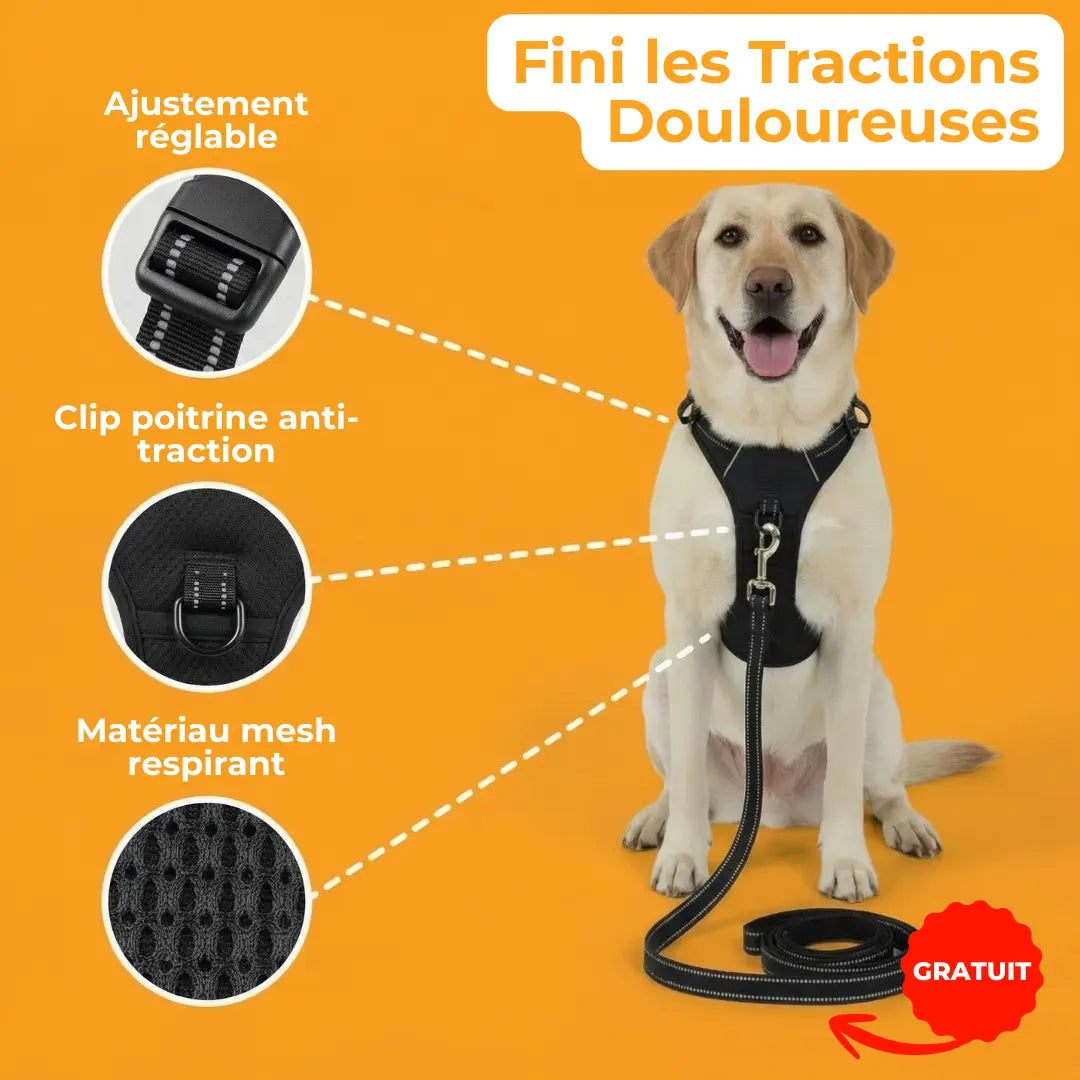 Activ'Pet No-Pull Harness