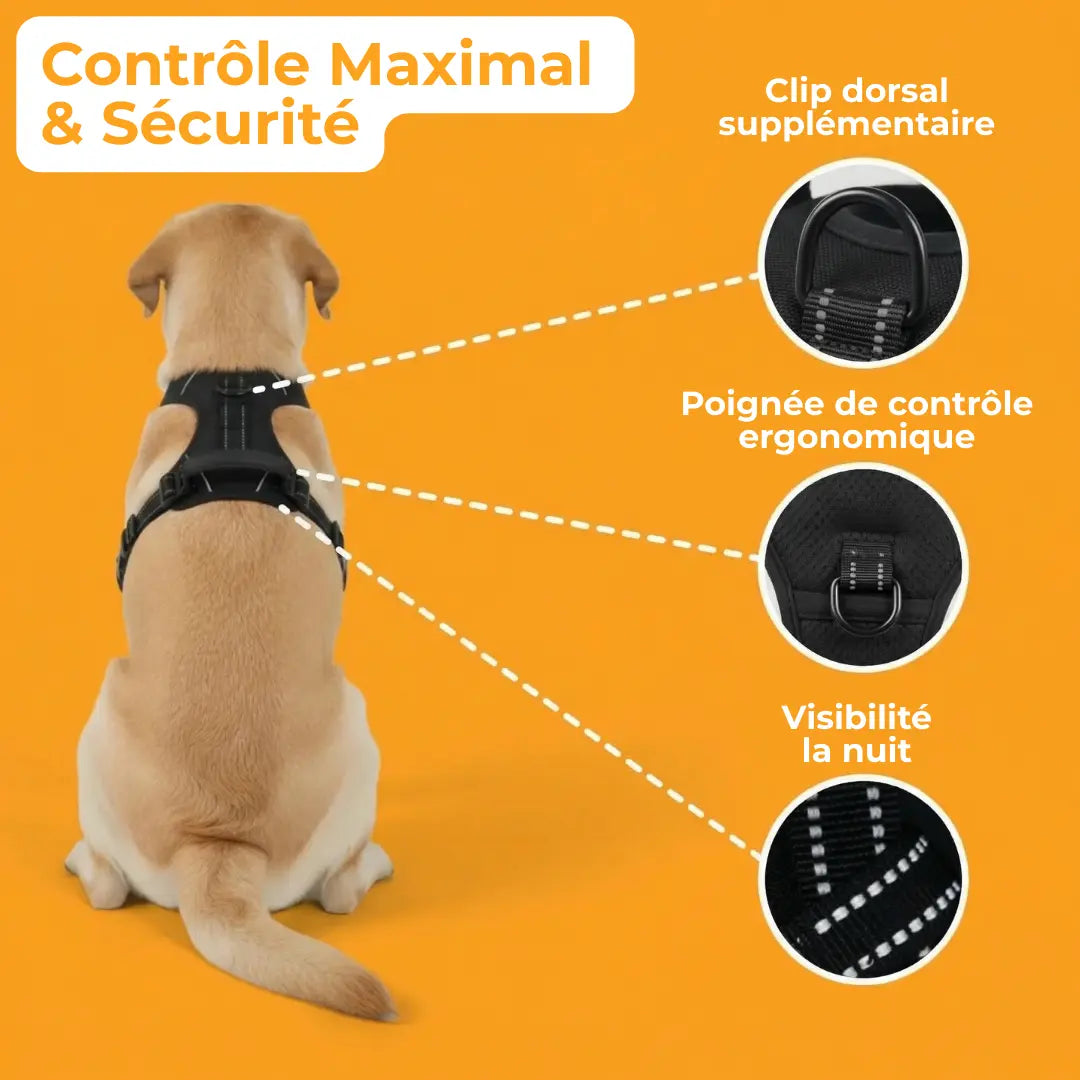 Activ'Pet No-Pull Harness