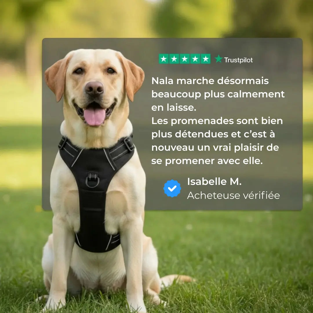 Activ'Pet No-Pull Harness