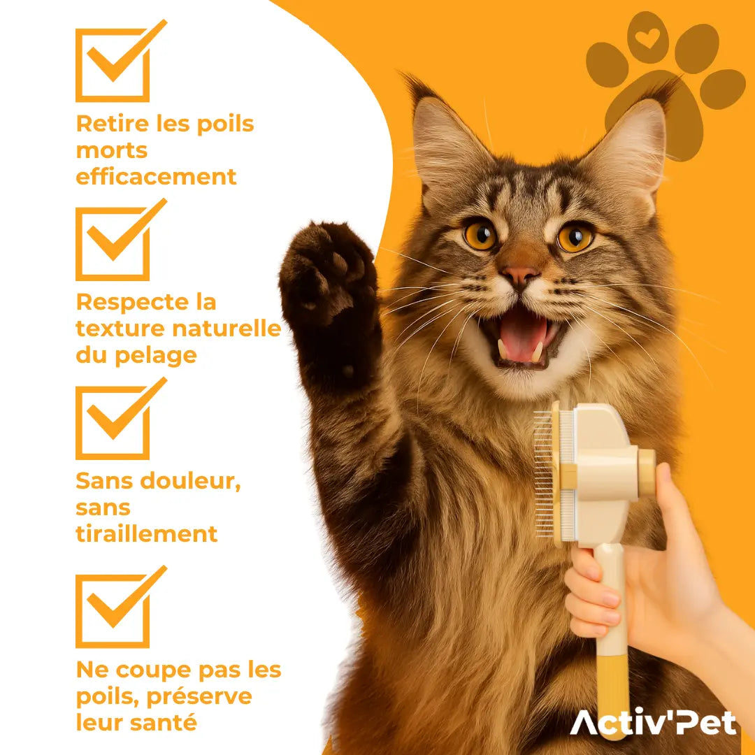Brosse Attrape’Poils – Notre Bestseller