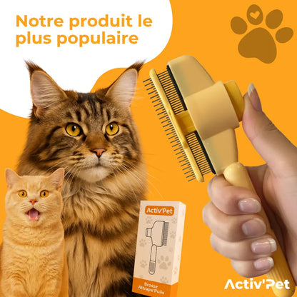 Brosse Attrape’Poils – Notre Bestseller