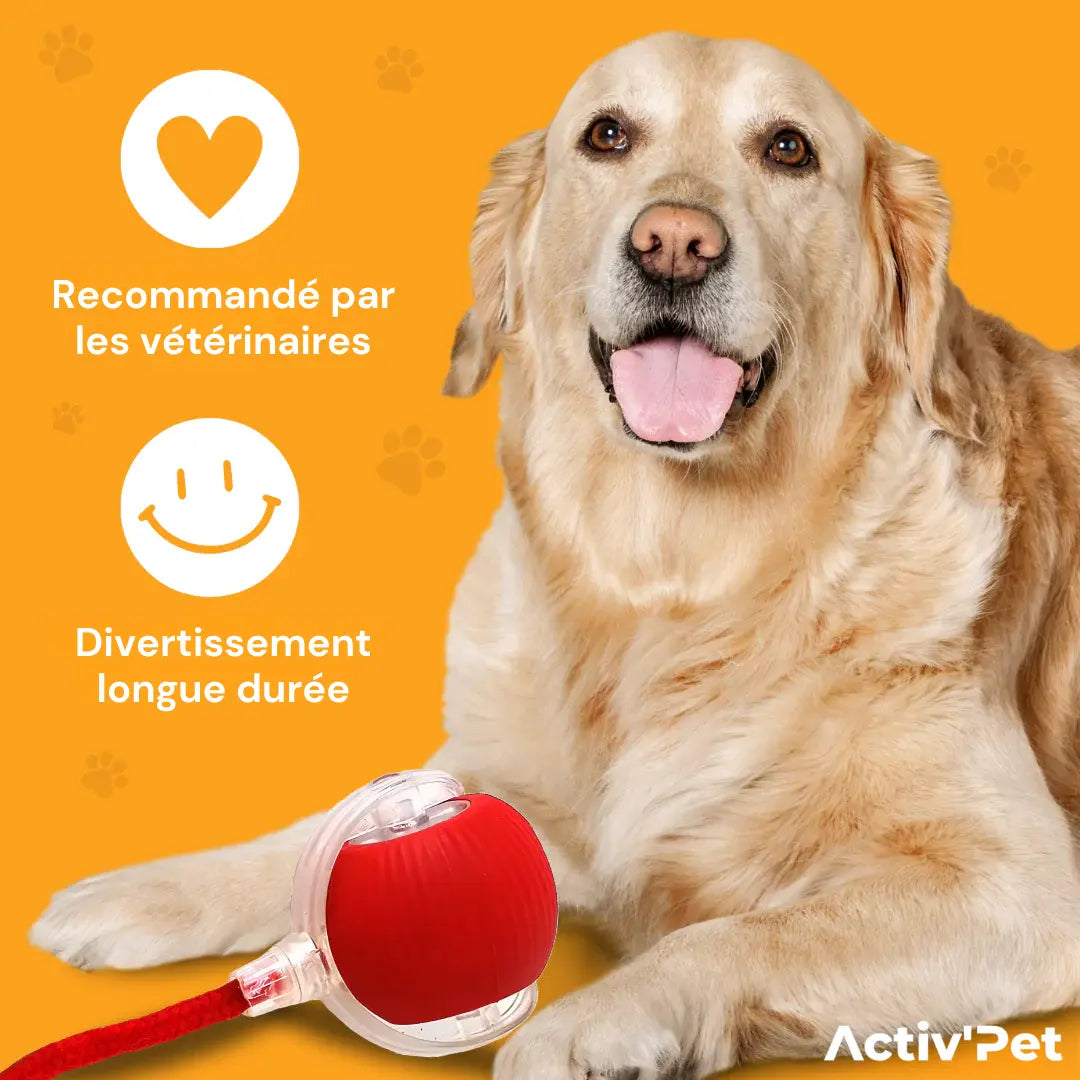 MagicBall Activ’Pet - Notre Bestseller