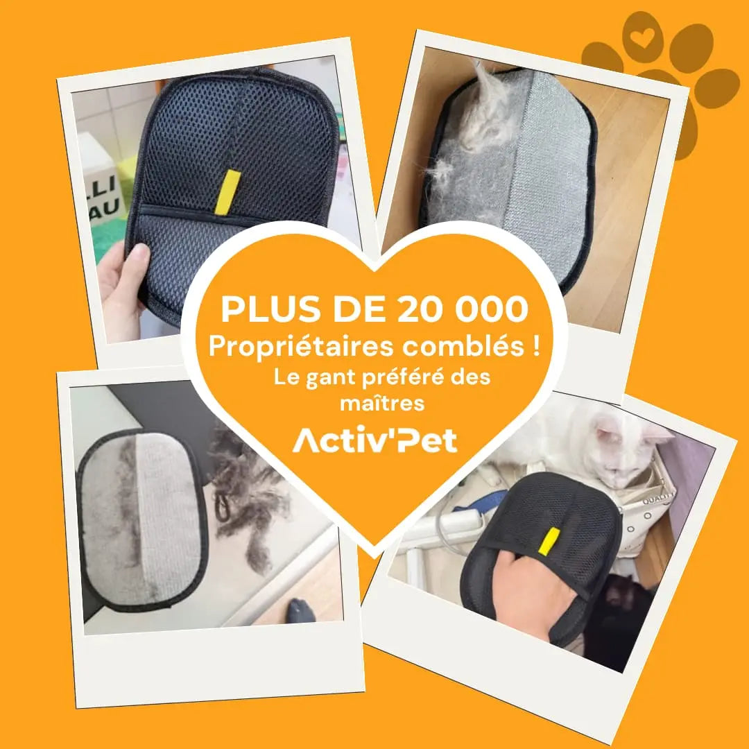 Gant Attrape'Poils