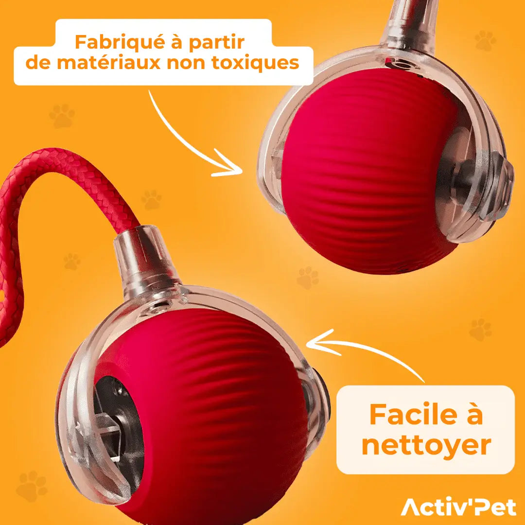 MagicBall Activ’Pet - Notre Bestseller