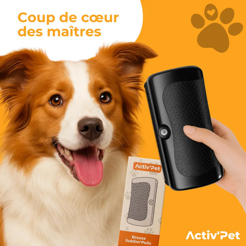 Brosse Sublim’Poils Activ'Pet