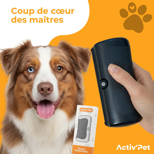 Brosse Sublim’Poils Activ'Pet