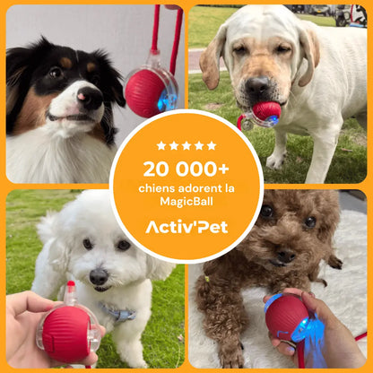 MagicBall Activ’Pet - Notre Bestseller
