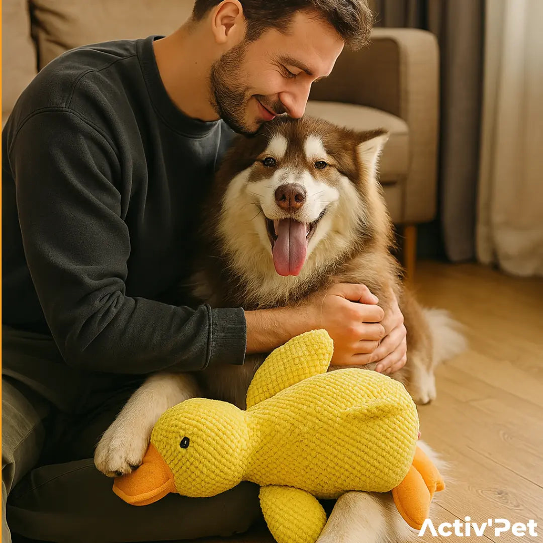 Canard anti-stress