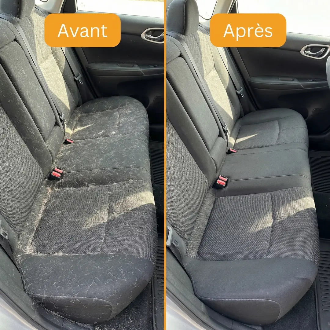 Gant Attrape'Poils