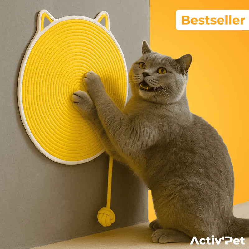 Grattoir Félin - Notre Bestseller