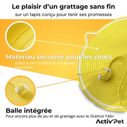 Grattoir Félin - Notre Bestseller