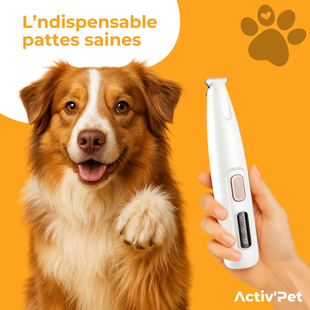 Paw trimmer