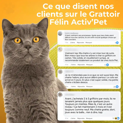 Grattoir Félin - Notre Bestseller