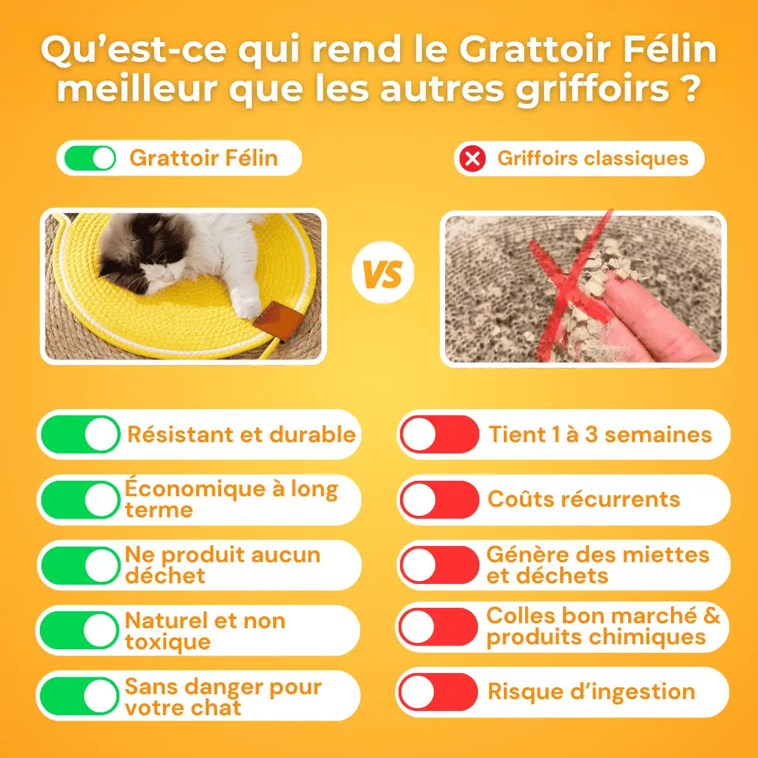 Grattoir Félin - Notre Bestseller