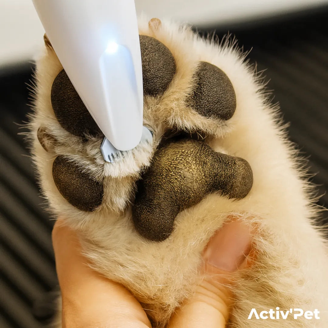 Paw trimmer