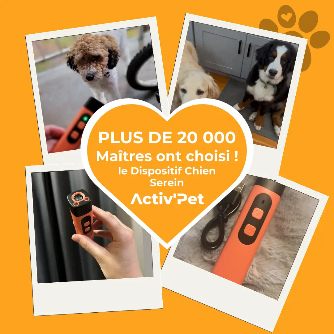 Dispositif Ultrasons Chien Serein Activ'Pet