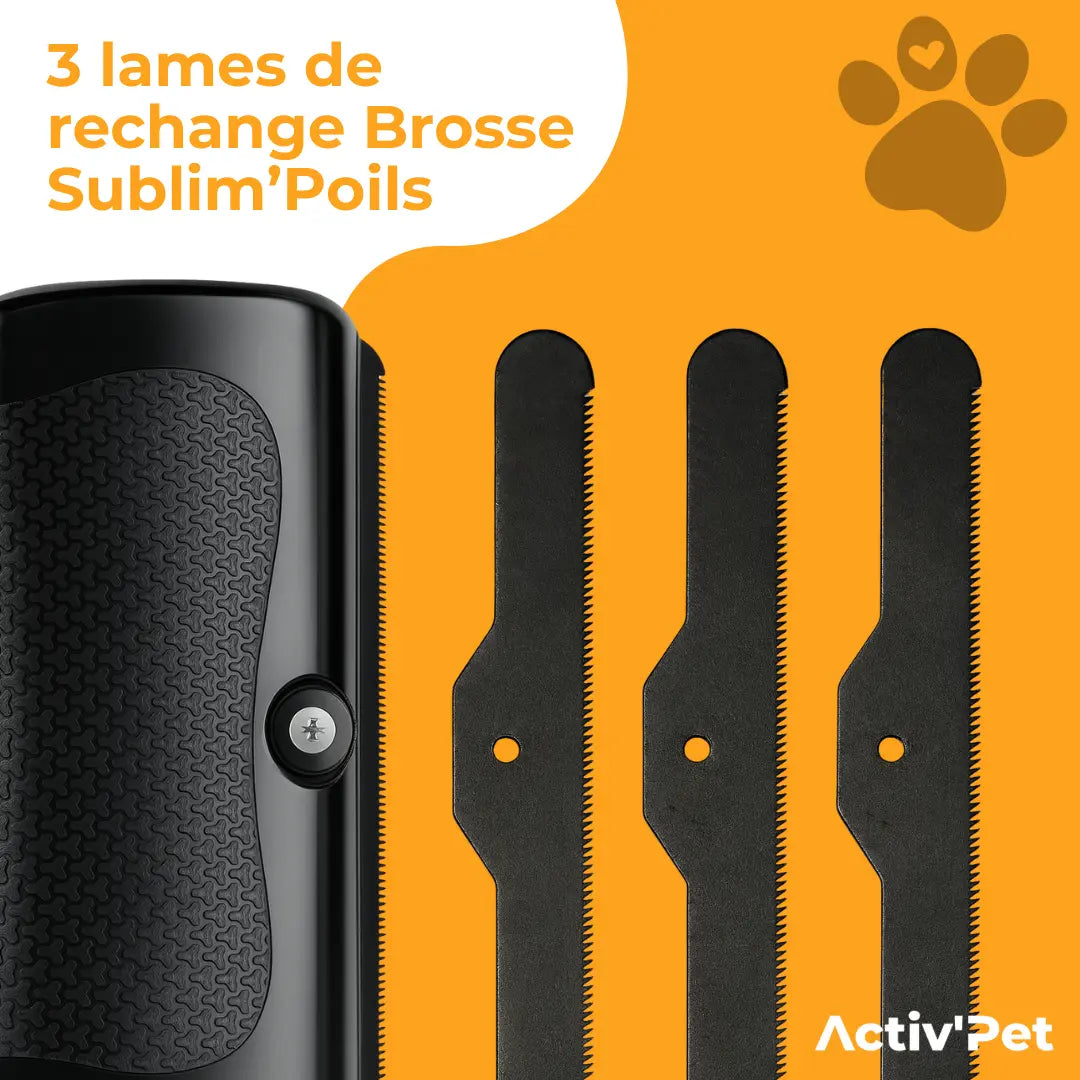 3 replacement blades for Sublim'Poils brush