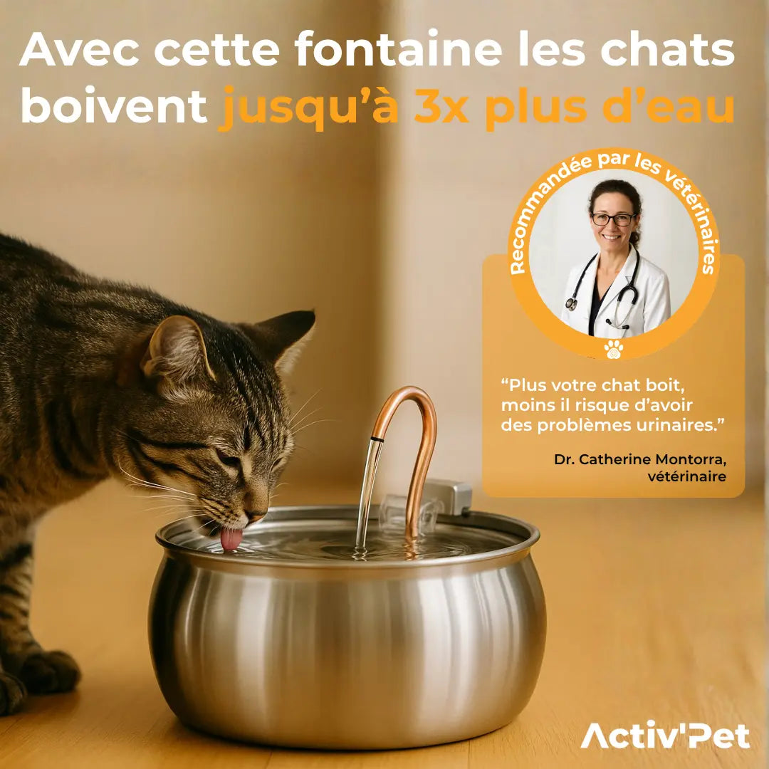 Fontaine à Chat Activ'Pet