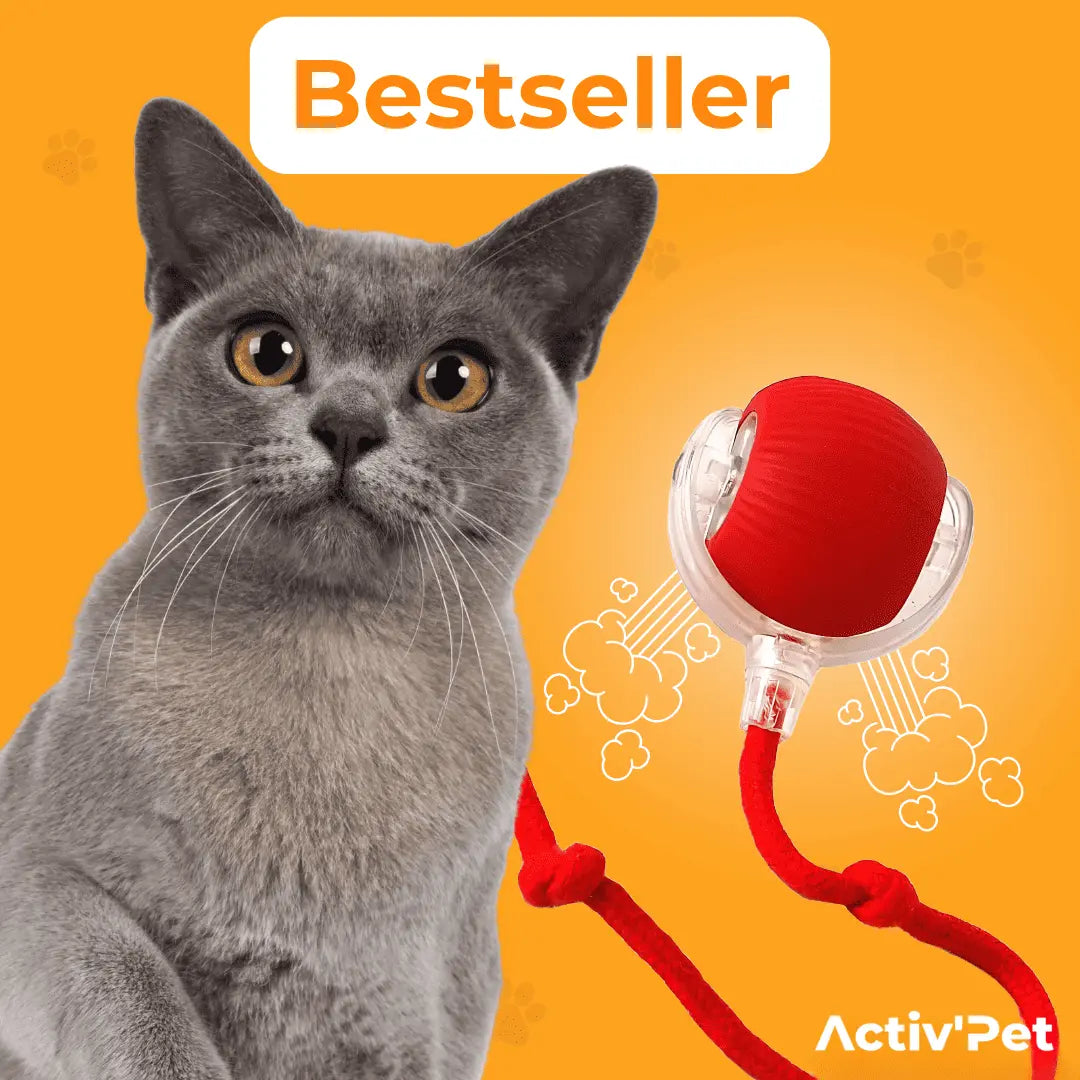 PowerBall Activ'Pet