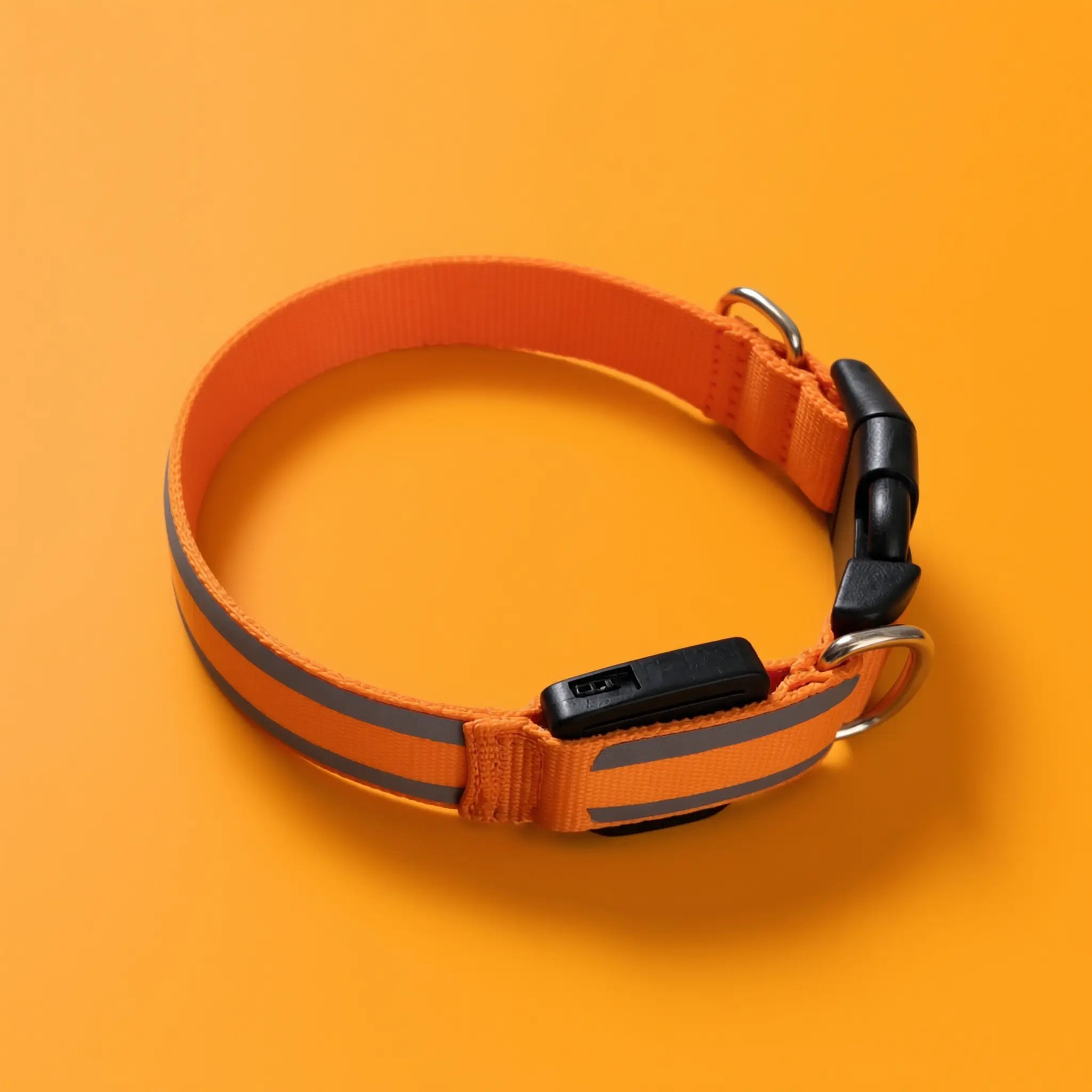 Collier lumineux Activ'Pet