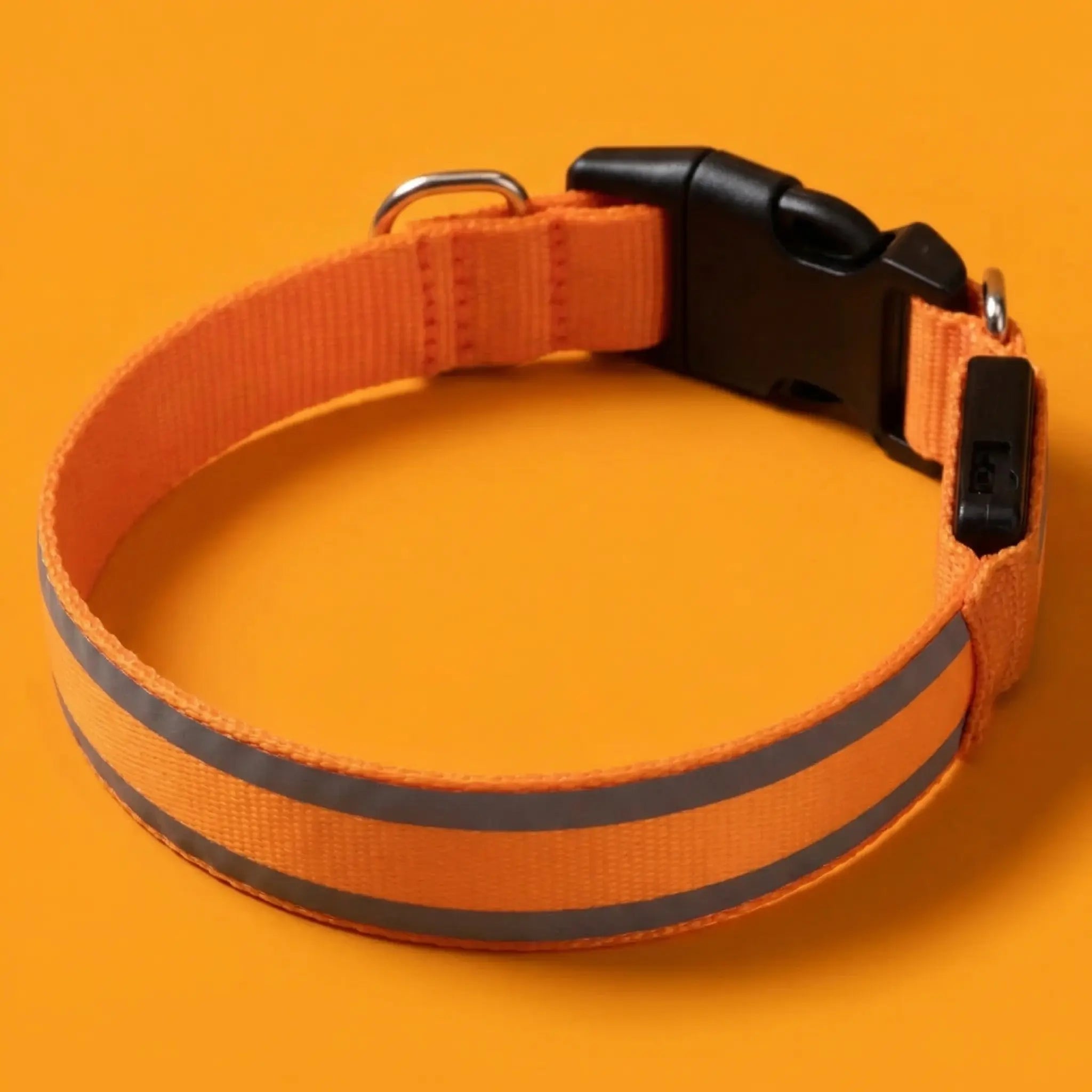 Collier lumineux Activ'Pet