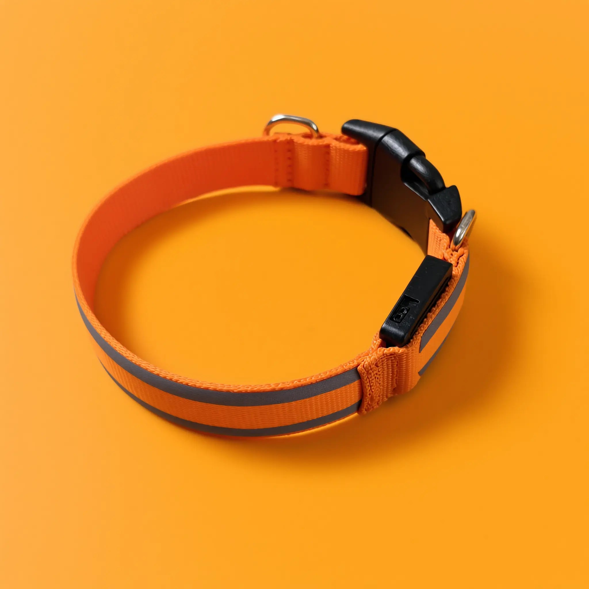 Collier lumineux Activ'Pet