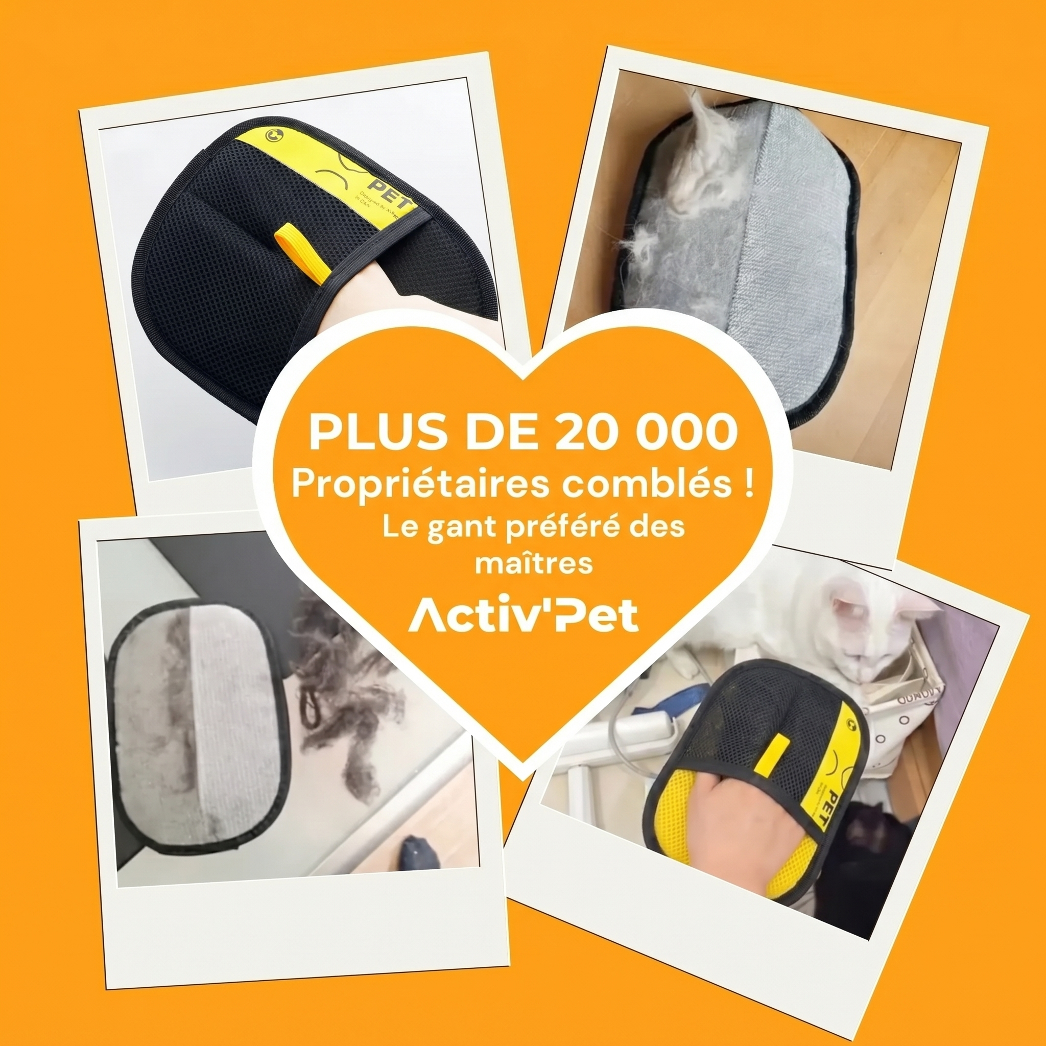 Gant Attrape'Poils