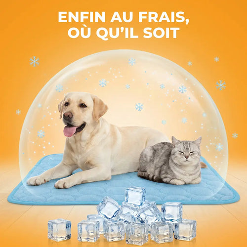 Tapis Pattes'Fraîches