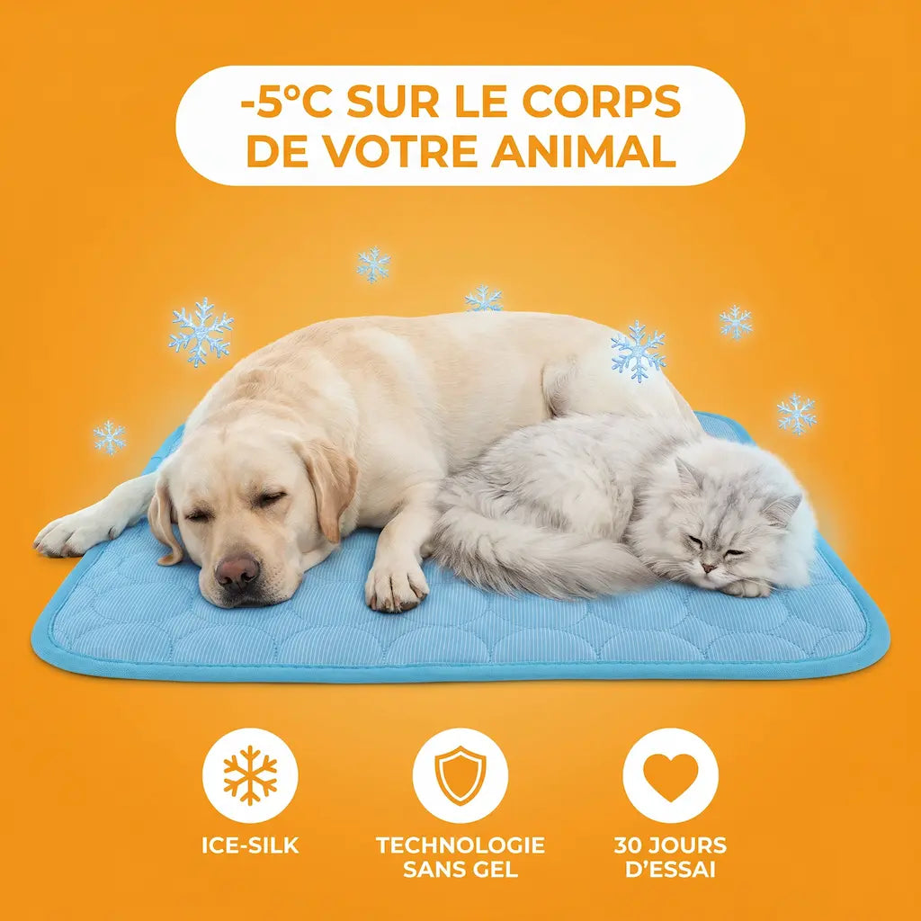FreshPaws Mats
