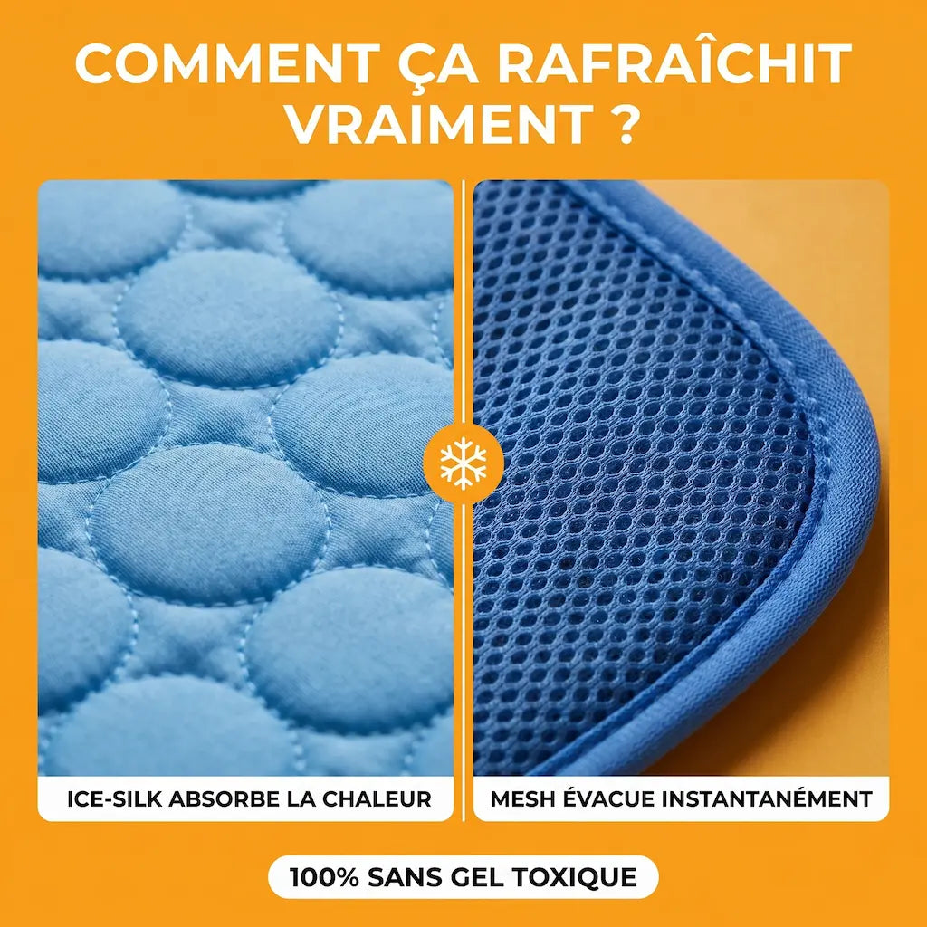 FreshPaws Mats