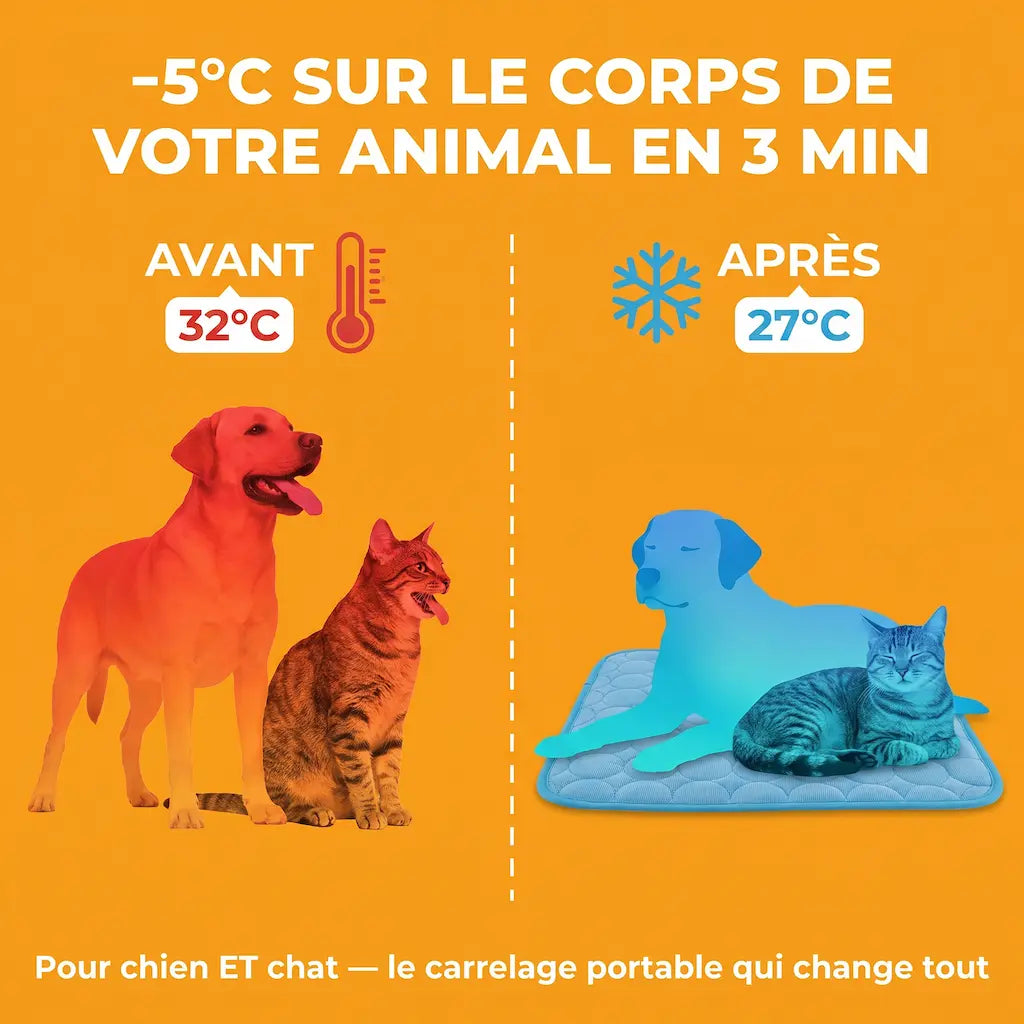 FreshPaws Mats