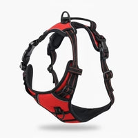 Activ'Pet No-Pull Harness